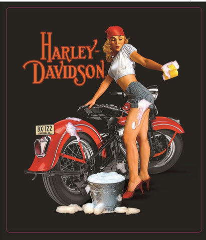 Harley Davidson Wash Babe Metal Sign