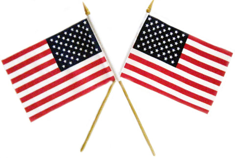USA 4 x 6 Flag